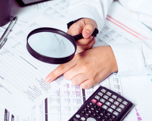 Tax Audit