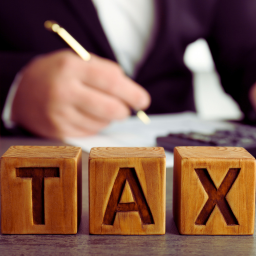 Professional Tax Registration & Filing